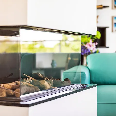 Prora - Stella Maris Dachterrasse Appartamento *